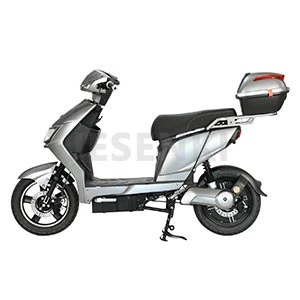 Electric Wheel Scooter
